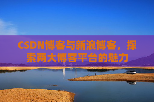 CSDN博客与新浪博客,探索两大博客平台的魅力